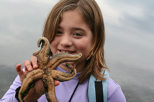 Gcash Playzone Login