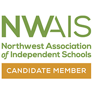 How Digitag PH Can Transform Your Digital Marketing Strategy in 5 Steps
