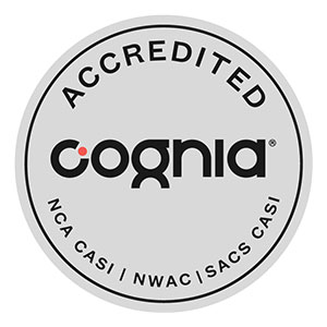 Digitag PH Solutions: 5 Proven Strategies to Boost Your Online Presence
